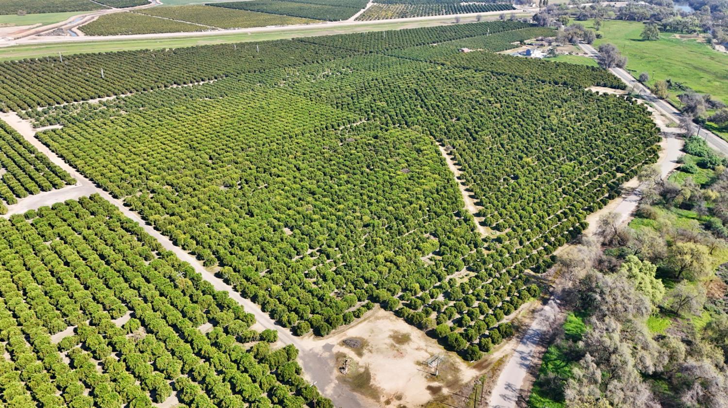 19188 East Trimmer Springs Road Sanger, CA 93657 - Photo 3 of 8 a view of a garden