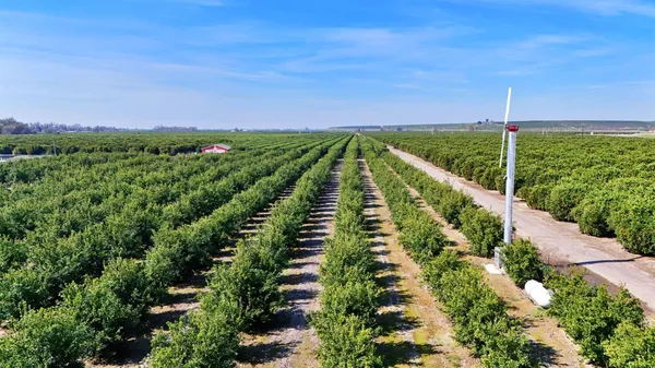 a view of a city from a balcony