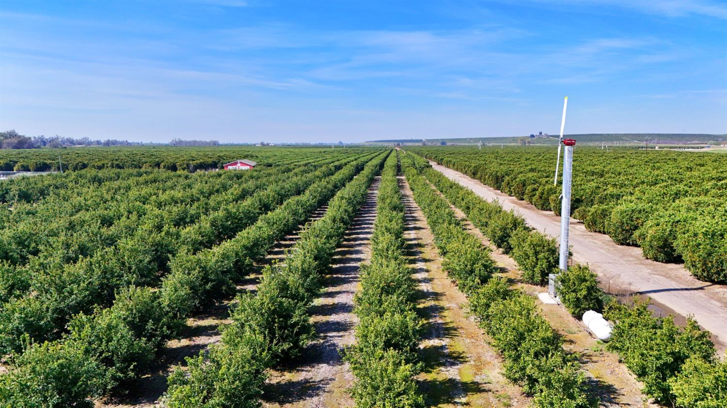 19188 East Trimmer Springs Road Sanger, CA 93657 - Photo 4 of 8 a view of a city from a balcony