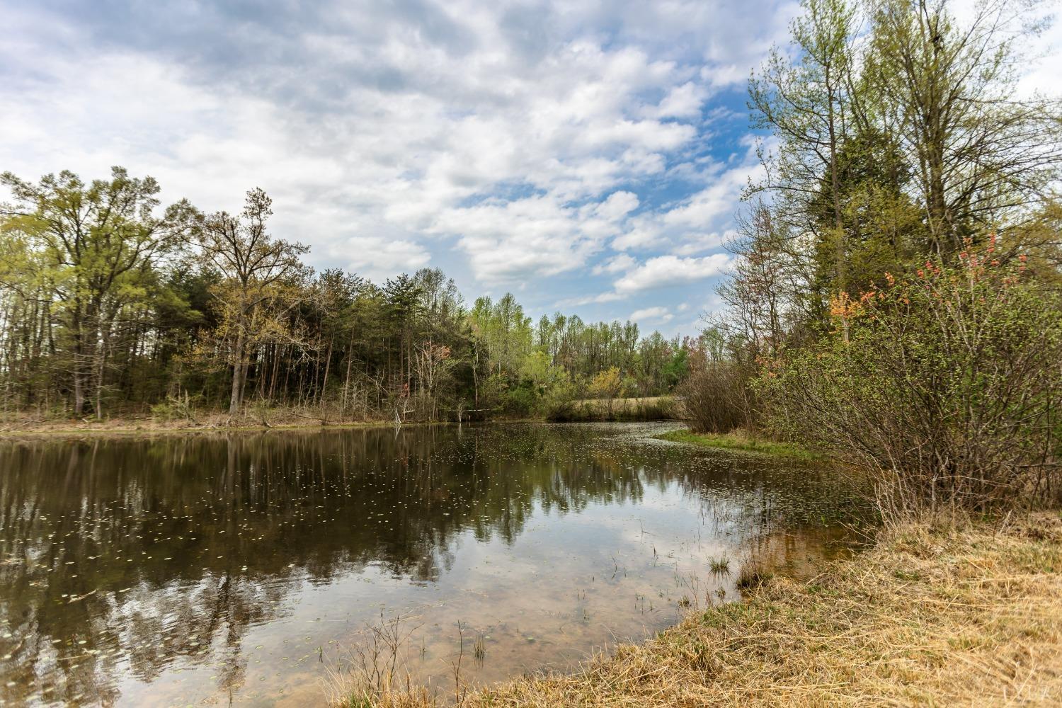 4037 County Line Road Cullen, VA 23934 - Photo 11 of 45