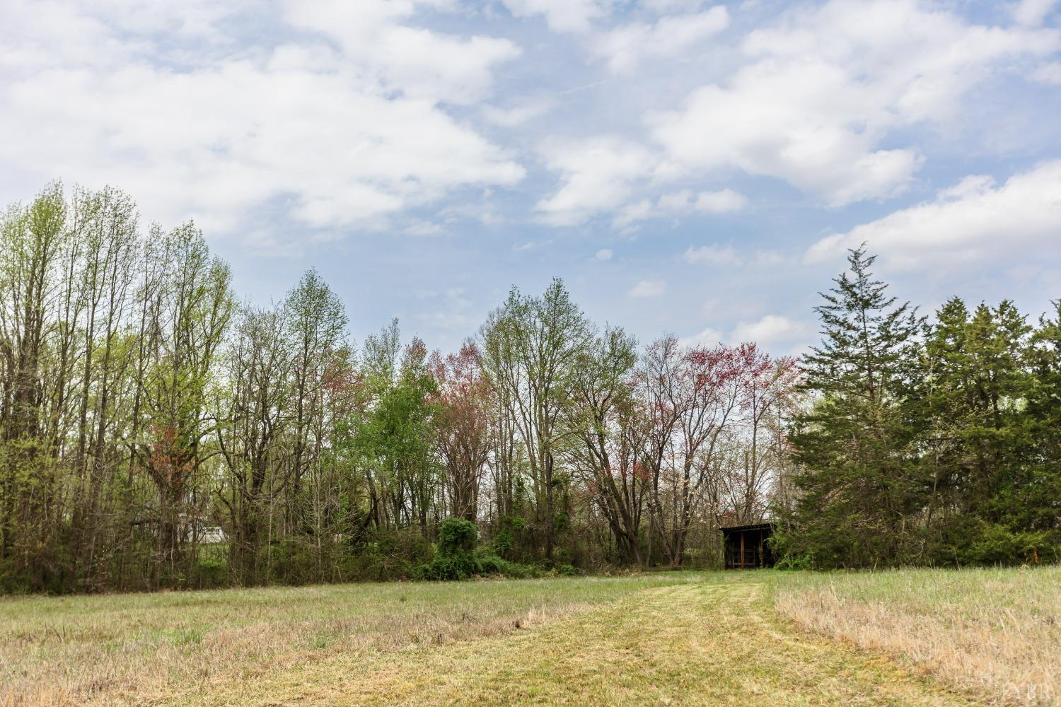 4037 County Line Road Cullen, VA 23934 - Photo 16 of 45 a view of a yard