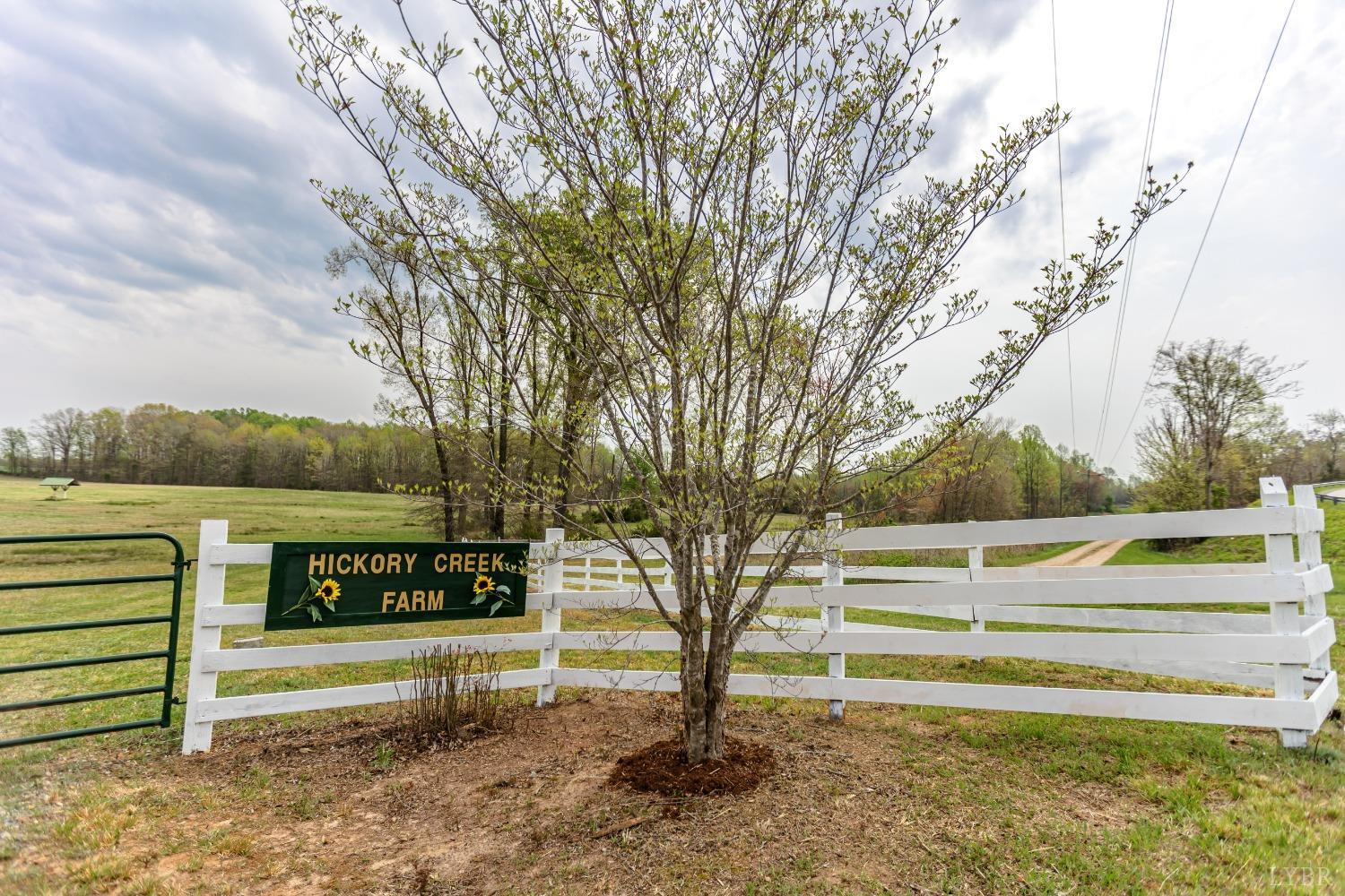 4037 County Line Road Cullen, VA 23934 - Photo 6 of 45 a view of a park with large trees