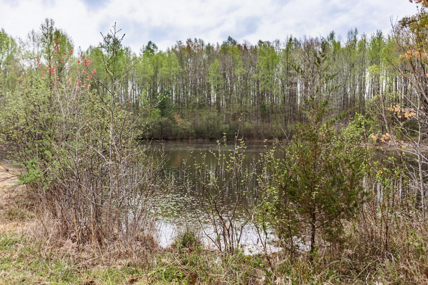 4037 County Line Road Cullen, VA 23934 - Photo 8 of 45 a view of a lake with trees in the background