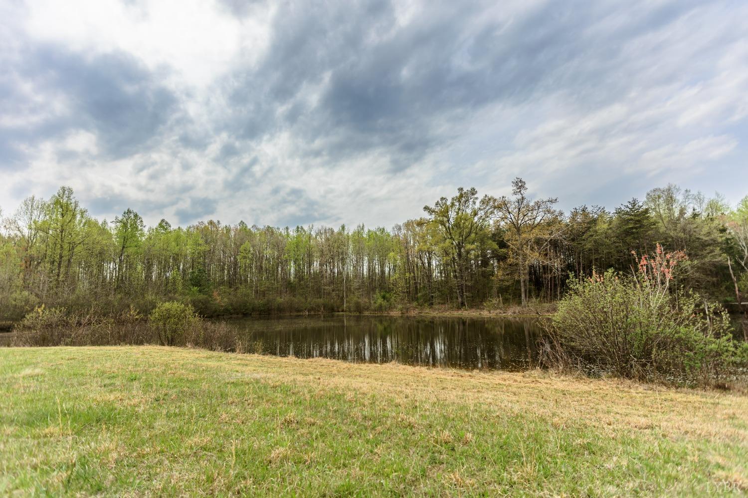 4037 County Line Road Cullen, VA 23934 - Photo 9 of 45 a view of a lake
