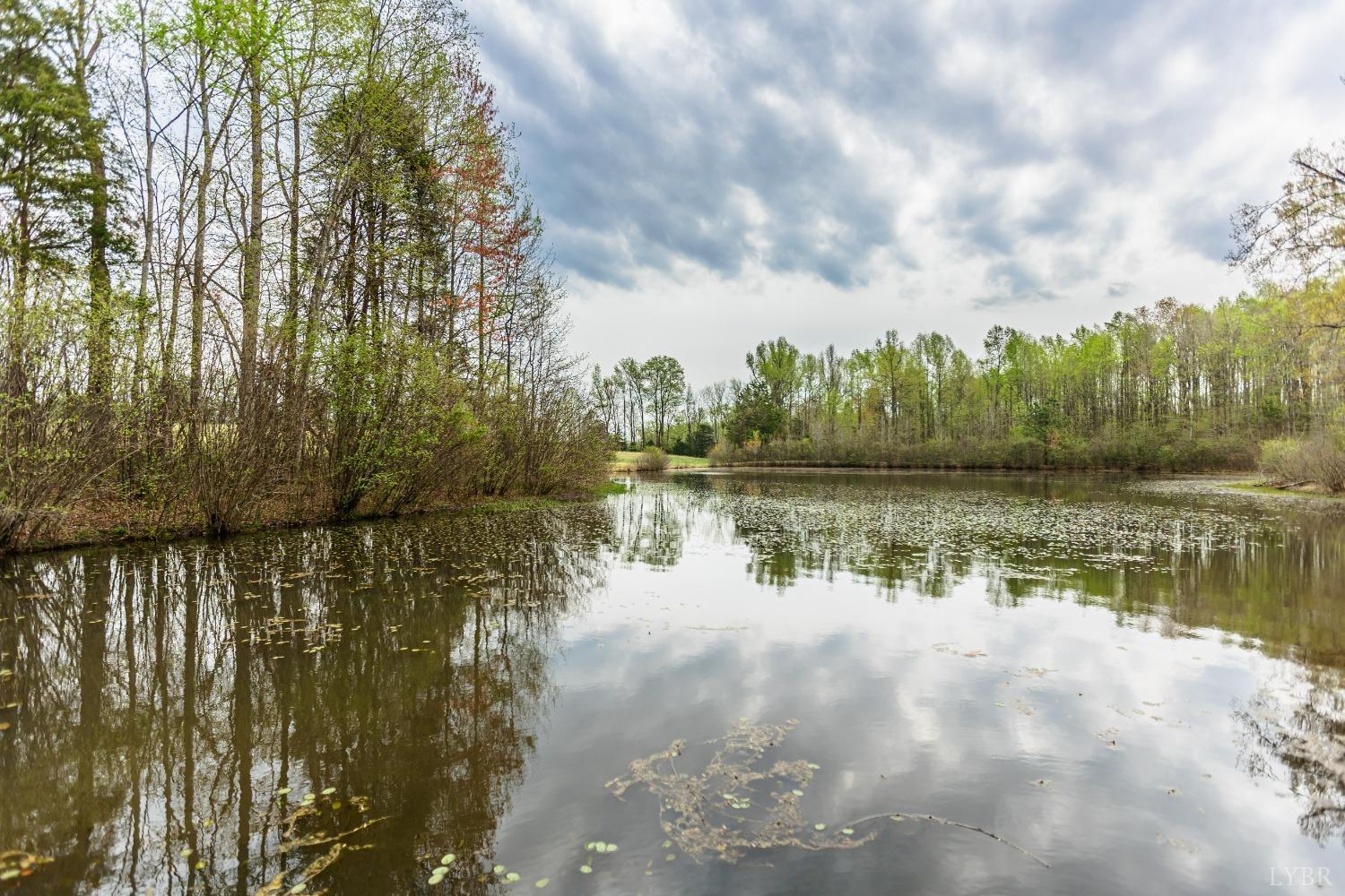 4037 County Line Road Cullen, VA 23934 - Photo 10 of 45 a view of lake