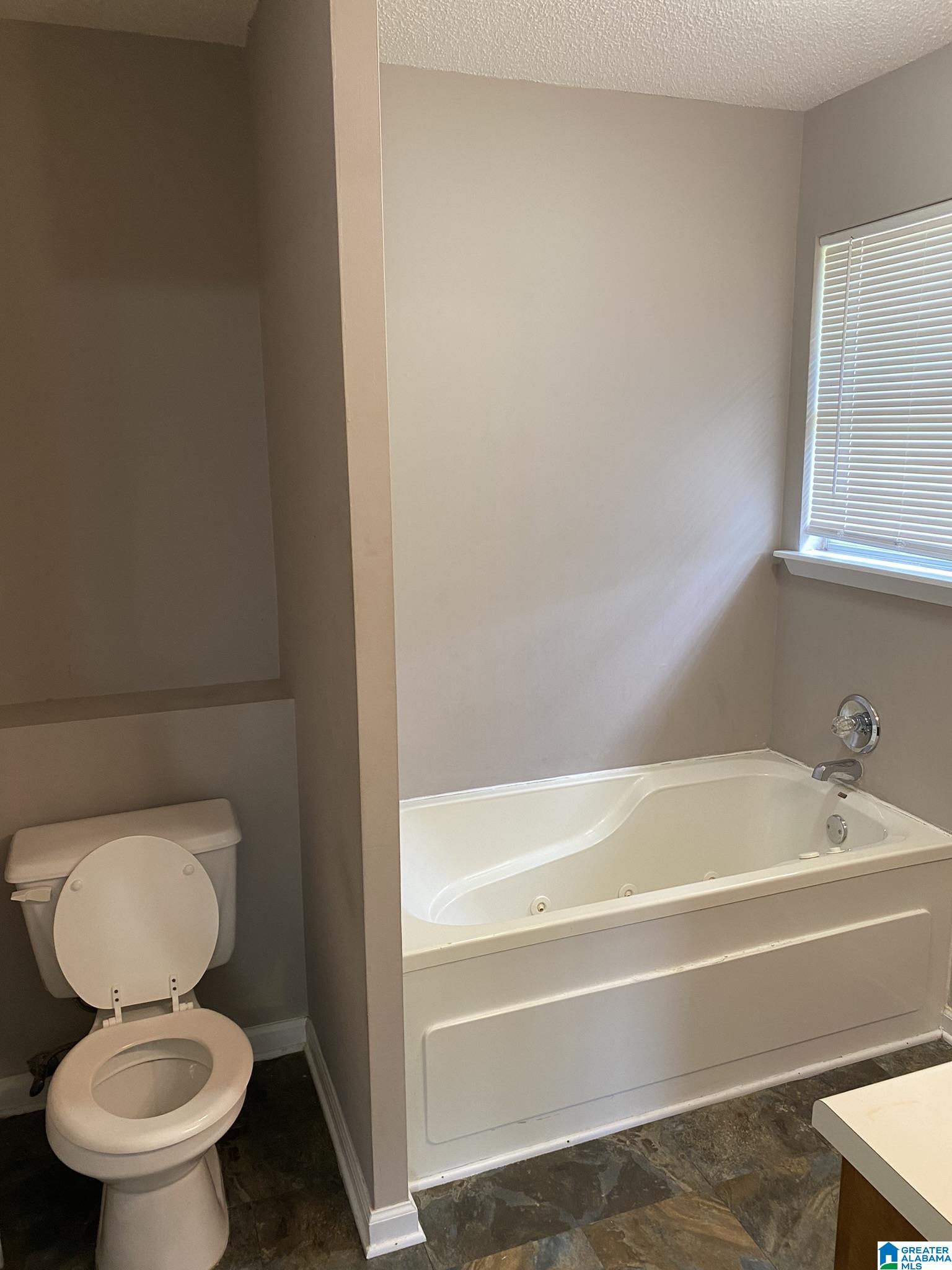 34 Joel Court Springville, AL 35146 - Photo 10 of 20