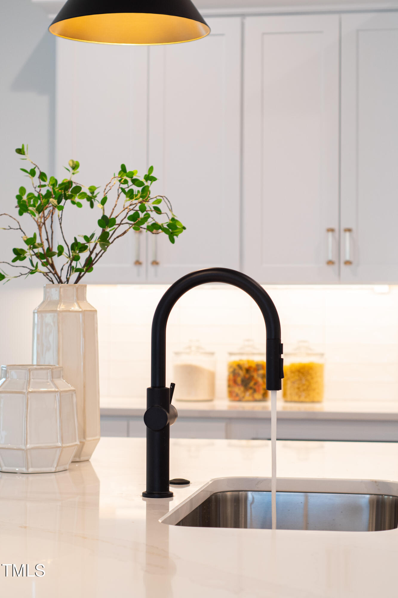 2417 Mayview Road Raleigh, NC 27607 - Photo 19 of 61 a close view of sink with a potted plant
