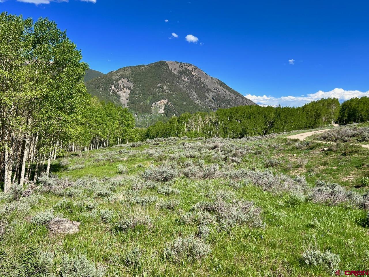 1190 Red Mountain Ranch Road Crested Butte, CO 81224 - Photo 8 of 21 Gallery Image 8