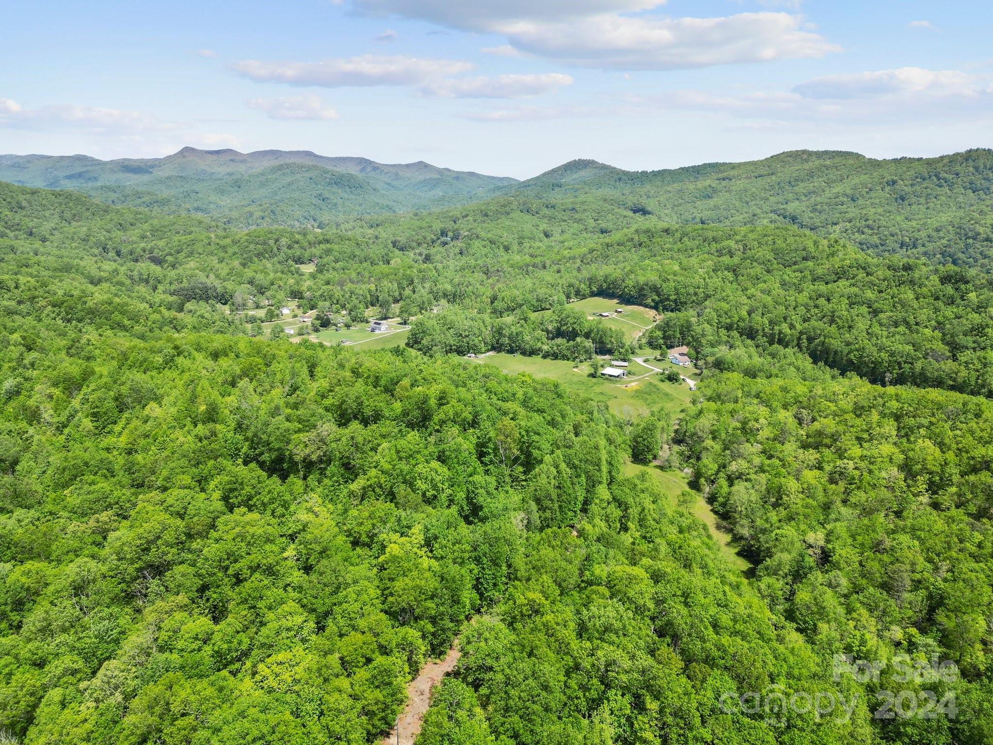Tbd Morgan Hill Road Fairview, NC 28730 - Photo 4 of 6 Gallery Image 4