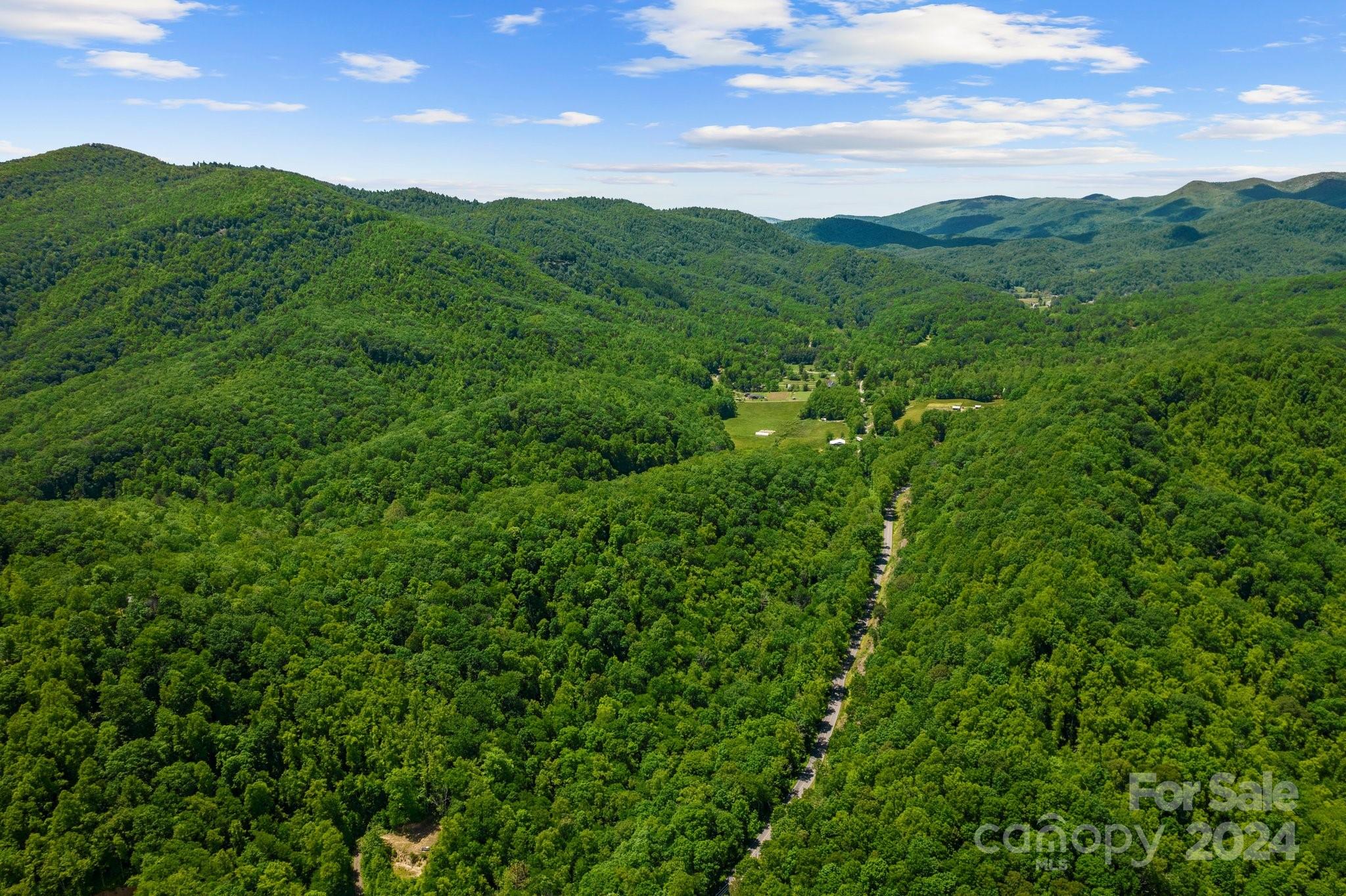 Tbd Morgan Hill Road Fairview, NC 28730 - Photo 6 of 6 Gallery Image 6