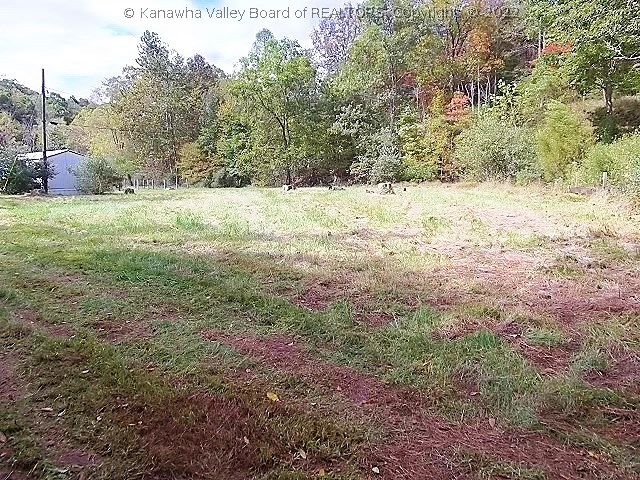 0 Big Pigeon Road Amma, WV 25005 - Photo 6 of 28 Gallery Image 6