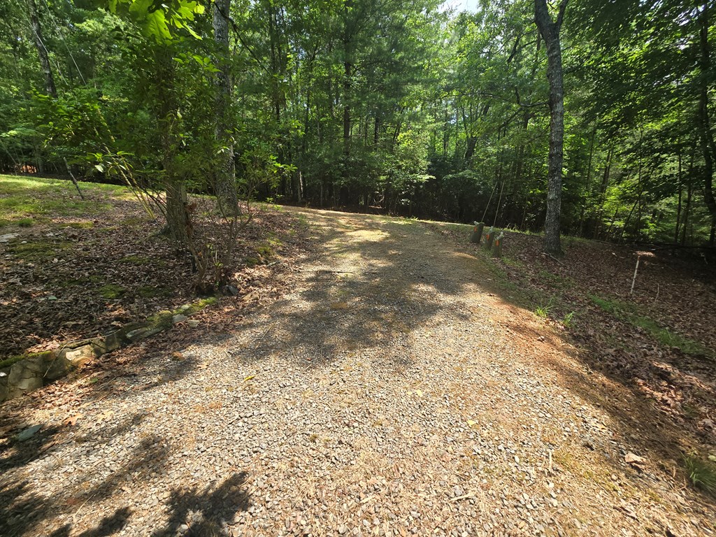 64 Green Oak Road Warne, NC 28909 - Photo 54 of 55 Exit of the circular drive