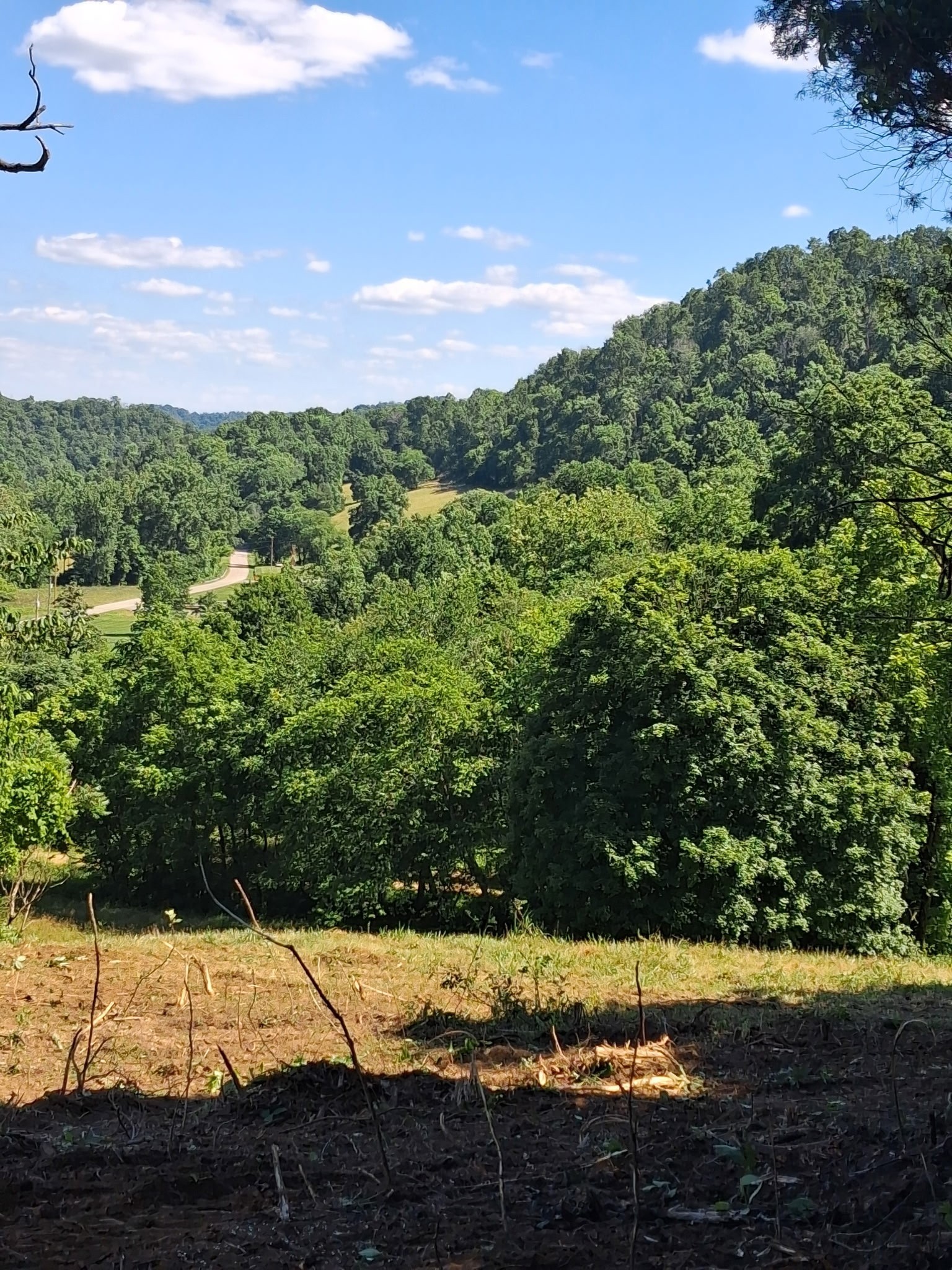 303 Little Creek Road Pleasant Shade, TN 37145 - Photo 4 of 11 Gallery Image 4