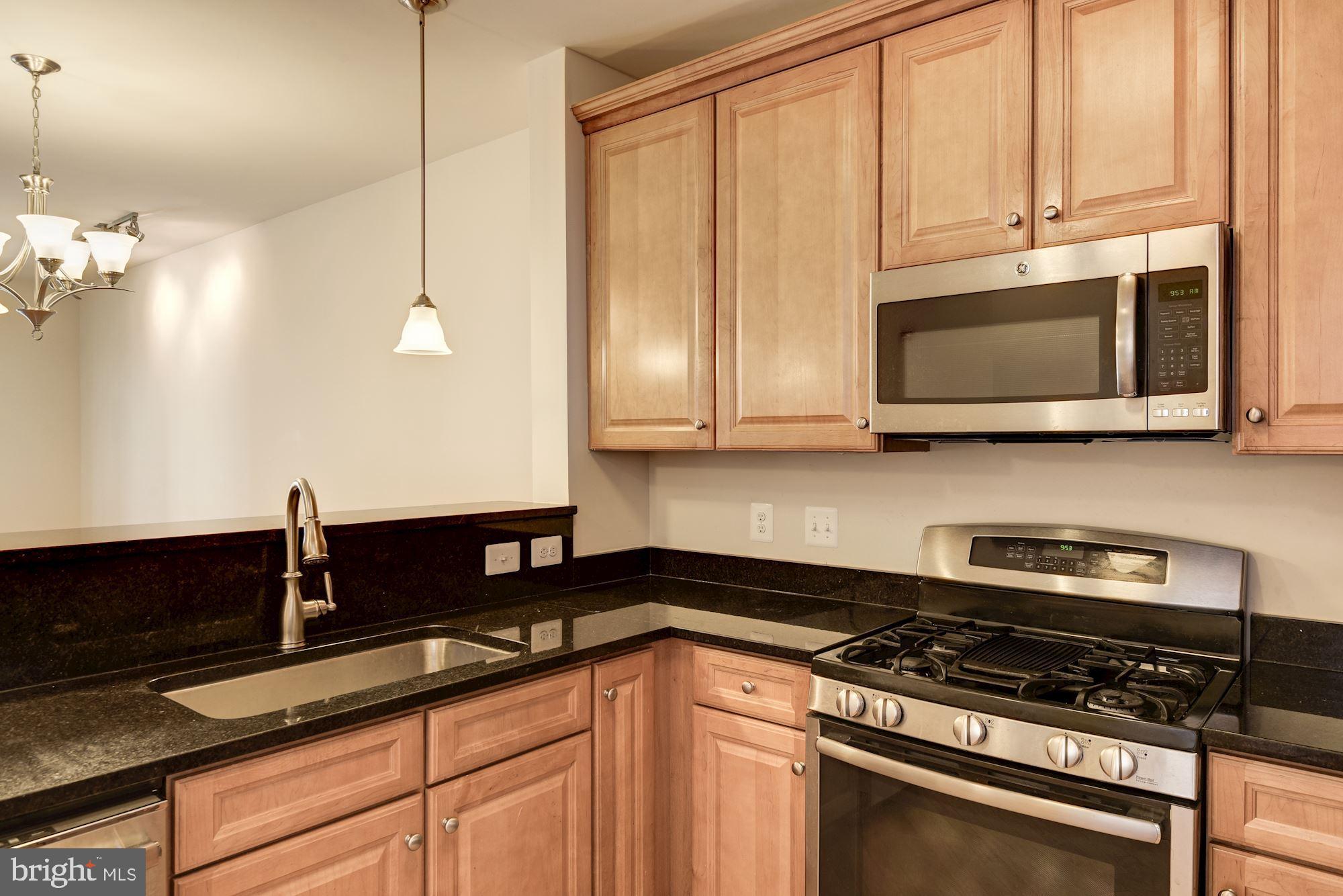 3750 Clara Downey Avenue, Unit 13 Silver Spring, MD 20906 - Photo 12 of 20