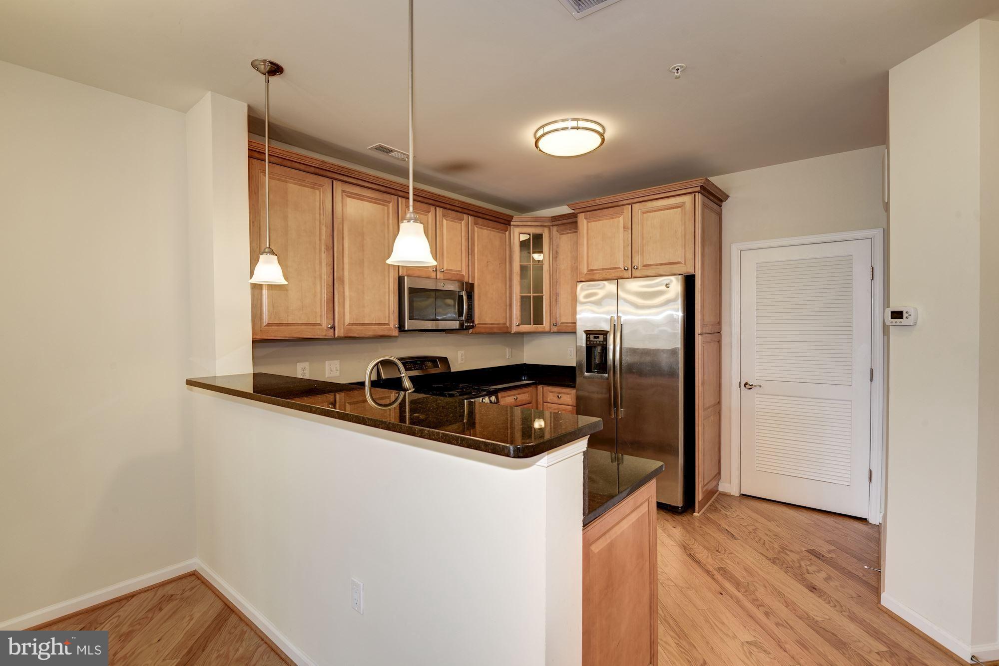 3750 Clara Downey Avenue, Unit 13 Silver Spring, MD 20906 - Photo 13 of 20