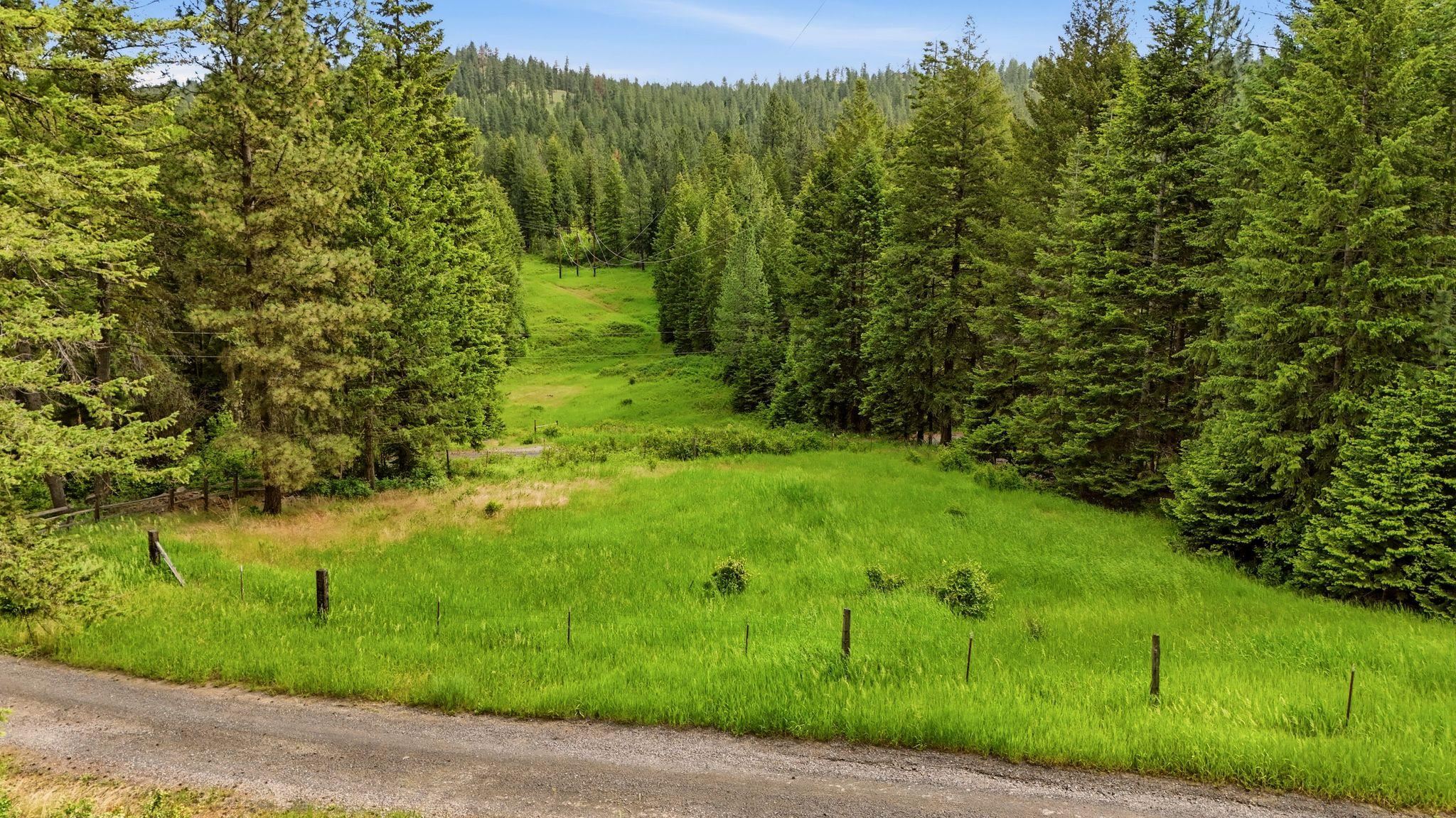 12112 East Burnett Road Mead, WA 99021 - Photo 6 of 23