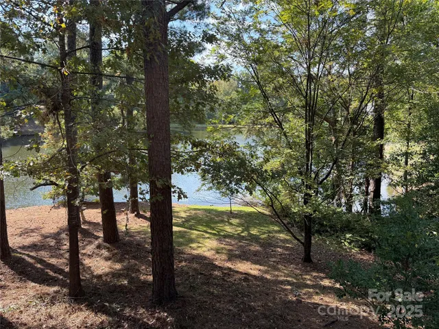 a view of a trees with yard