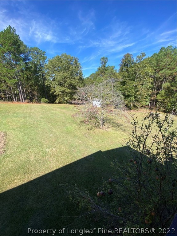 2376 South River Road Lillington, NC 27546 - Photo 15 of 19 Gallery Image 15