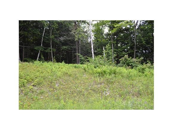 Lot 44 Partridge Road Ludlow, VT 05149 - Photo 3 of 9