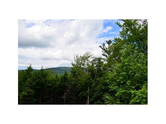 Lot 44 Partridge Road Ludlow, VT 05149 - Photo 4 of 9