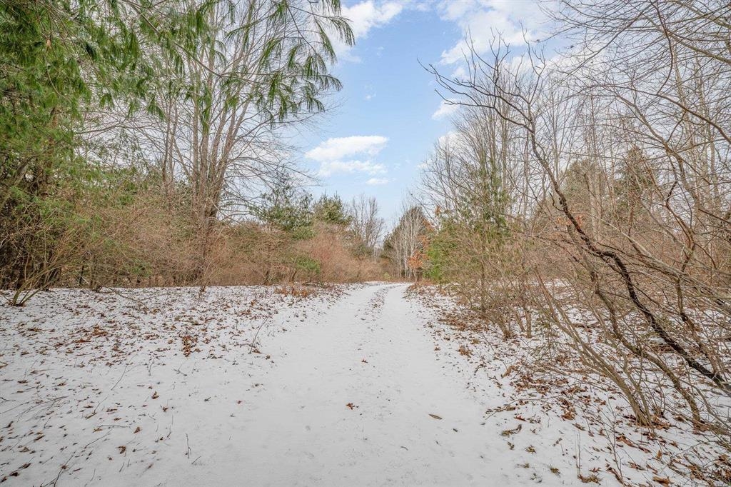 Vl North Vandecar Road Farwell, MI 48622 - Photo 4 of 11