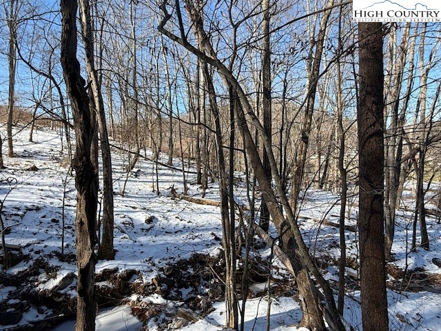 Joe Badger (2.73 Acres) Road Warrensville, NC 28693 - Photo 3 of 3