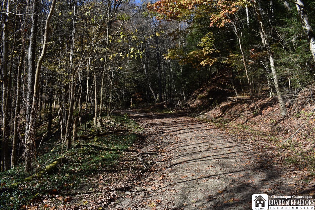 3157 Ball Road Arkwright, NY 14063 - Photo 27 of 28