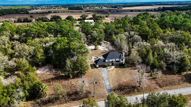 an aerial view of a yard with horses
