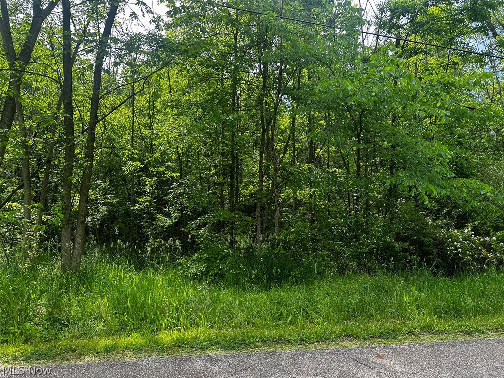 2375 Howland Wilson Road Northeast Cortland, OH 44410 - Photo 1 of 2