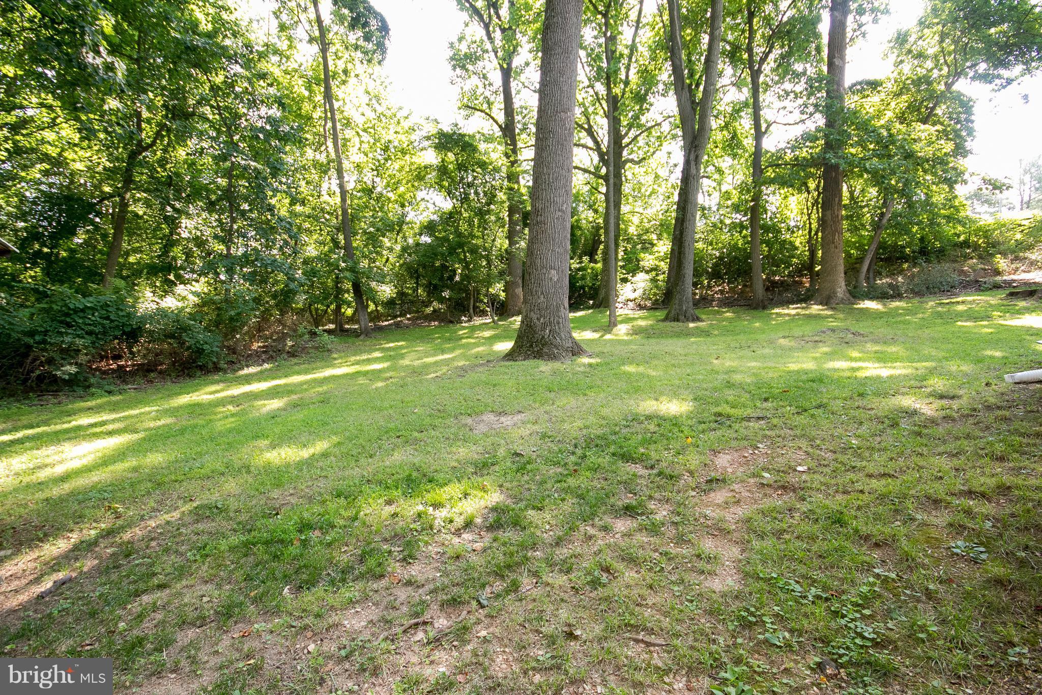 1618 Providence Road Towson, MD 21286 - Photo 7 of 30 a view of outdoor space with trees all around