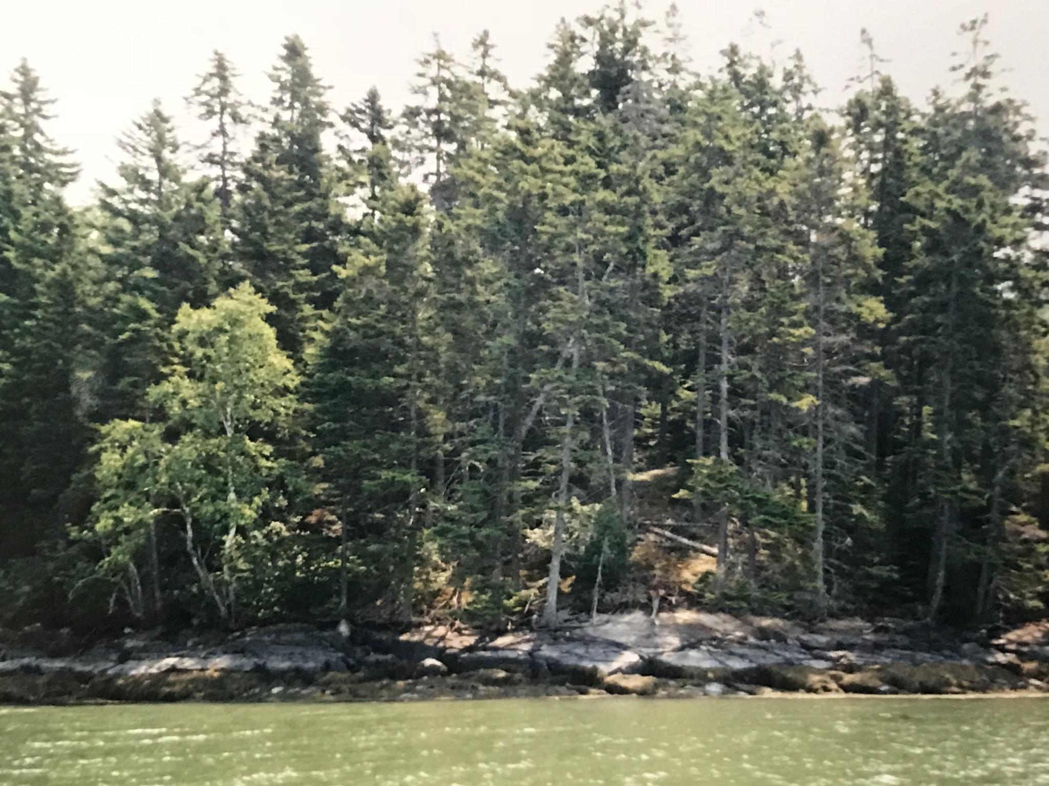 Lot #74 Nepp Point Road Roque Bluffs, ME 04654 - Photo 4 of 8 IMG_2499