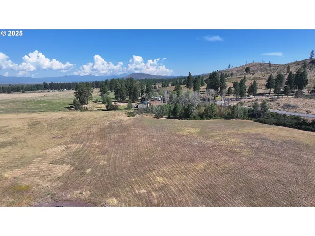 a view of a room with a yard and a mountain