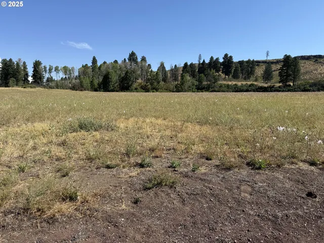a view of a lake with houses in the back