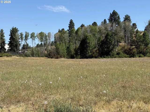 a view of a field with trees in the background