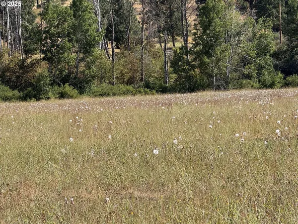 $100,000 | 38532 Bennie Lane, Unit 9, Chiloquin, OR 97624