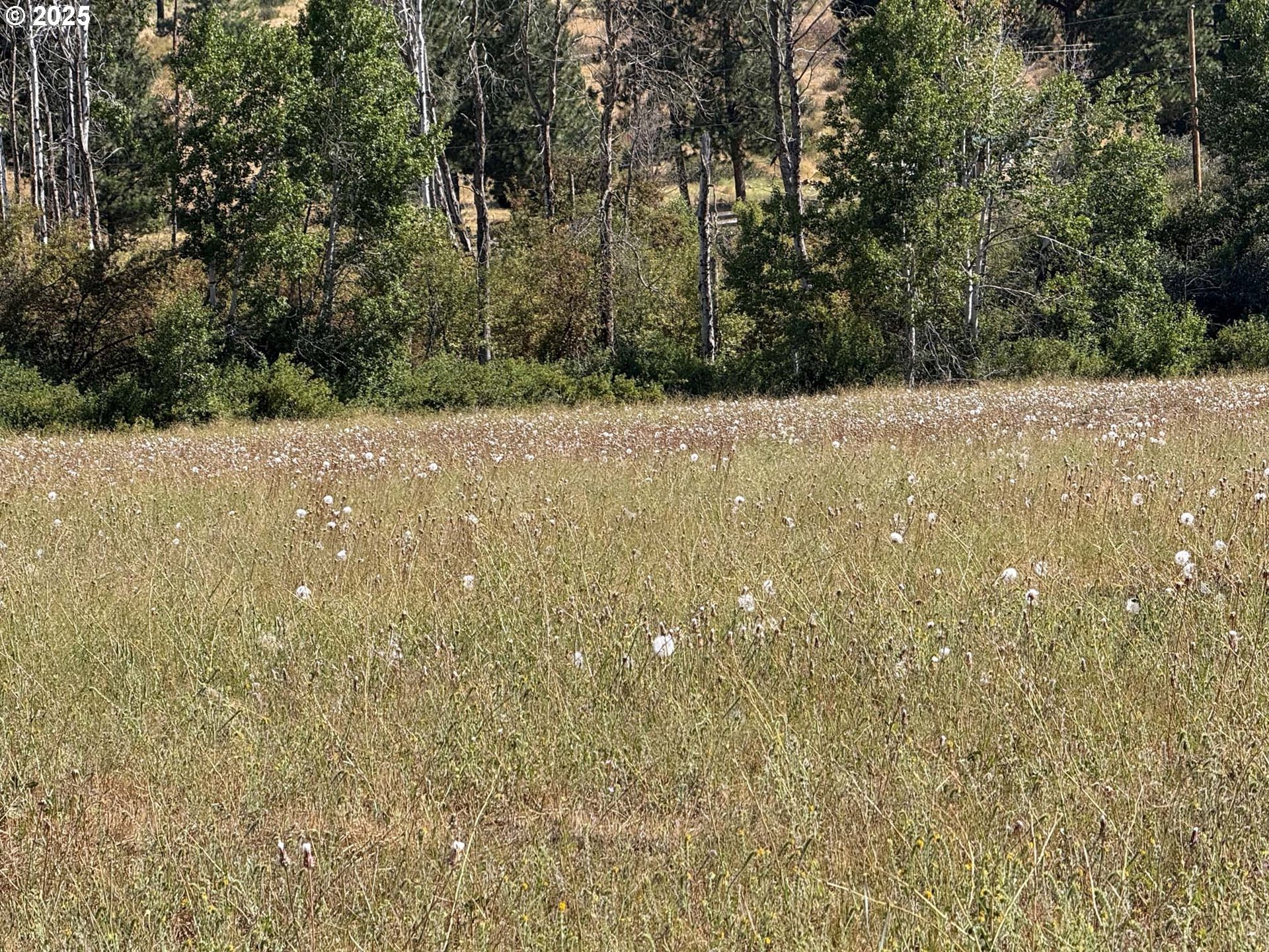 38532 Bennie Lane, Unit 9 Chiloquin, OR 97624 - Photo 7 of 21
