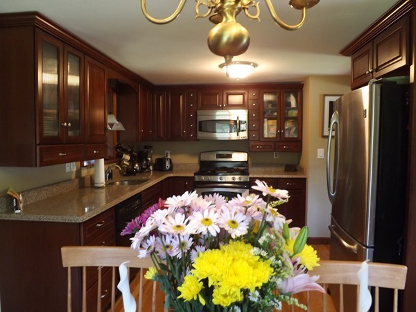 22 Woodbine Road Marshfield, MA 02050 - Photo 1 of 21 Gallery Image 1