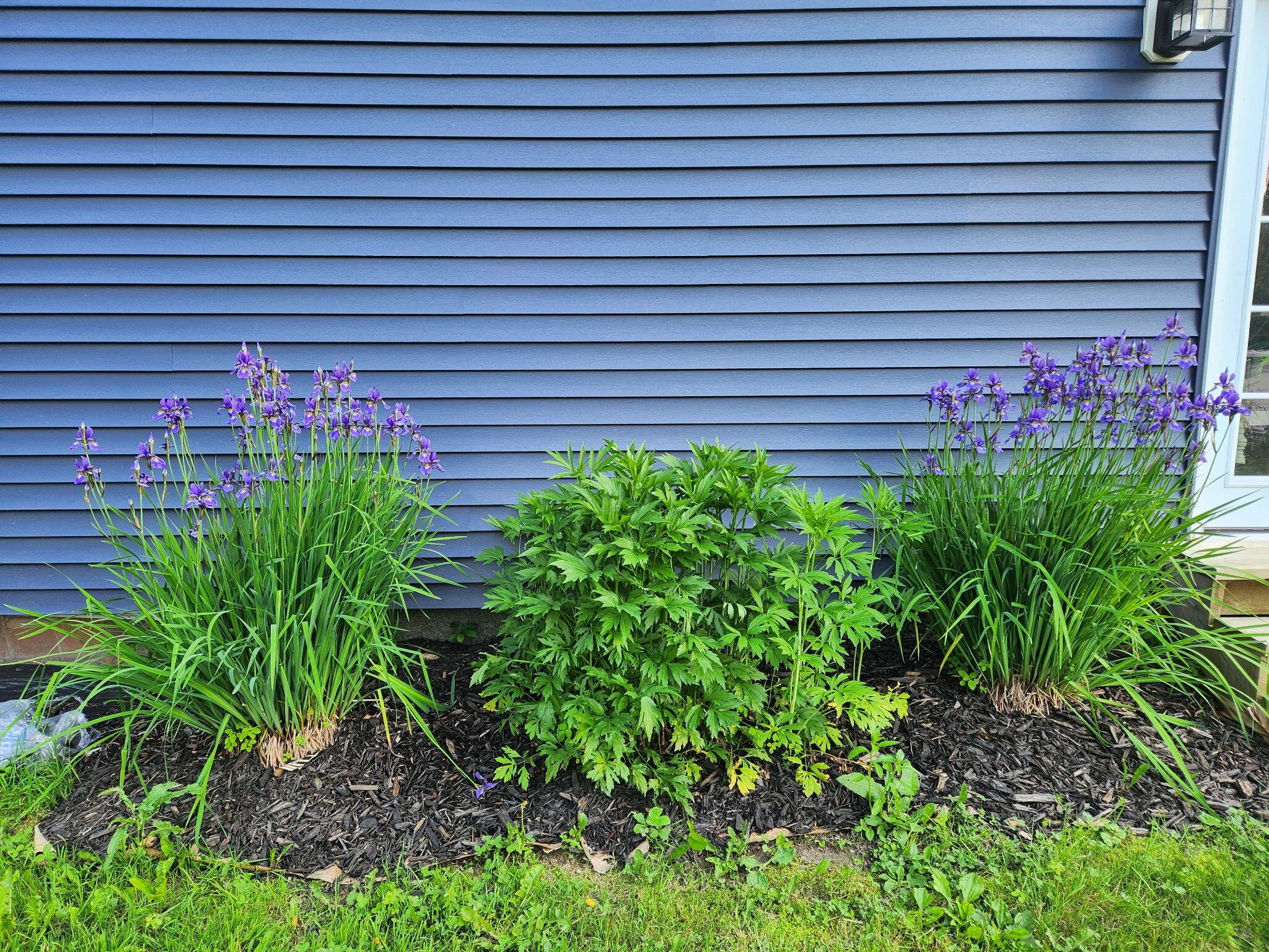 3190 Middle Road Sidney, ME 04330 - Photo 71 of 76 59522184759612276
