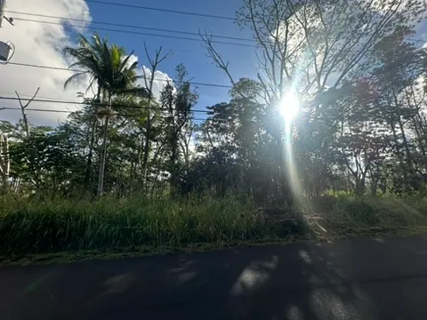 a plant that is in front of the house