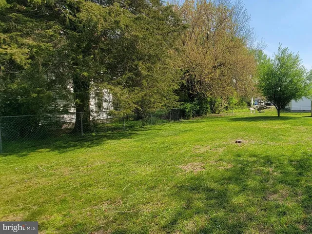 a view of a trees in a yard