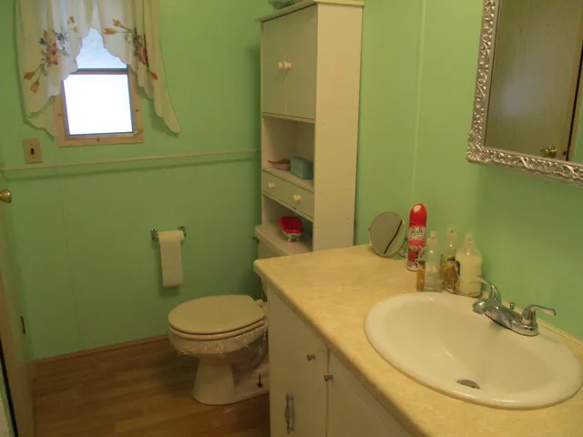 a bathroom with a sink a toilet and mirror