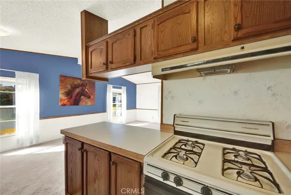 a kitchen with stainless steel appliances cabinets and a window
