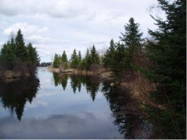 N7956 Wilson Lake Road Phillips, WI 54555 - Photo 4 of 9 Gallery Image 4
