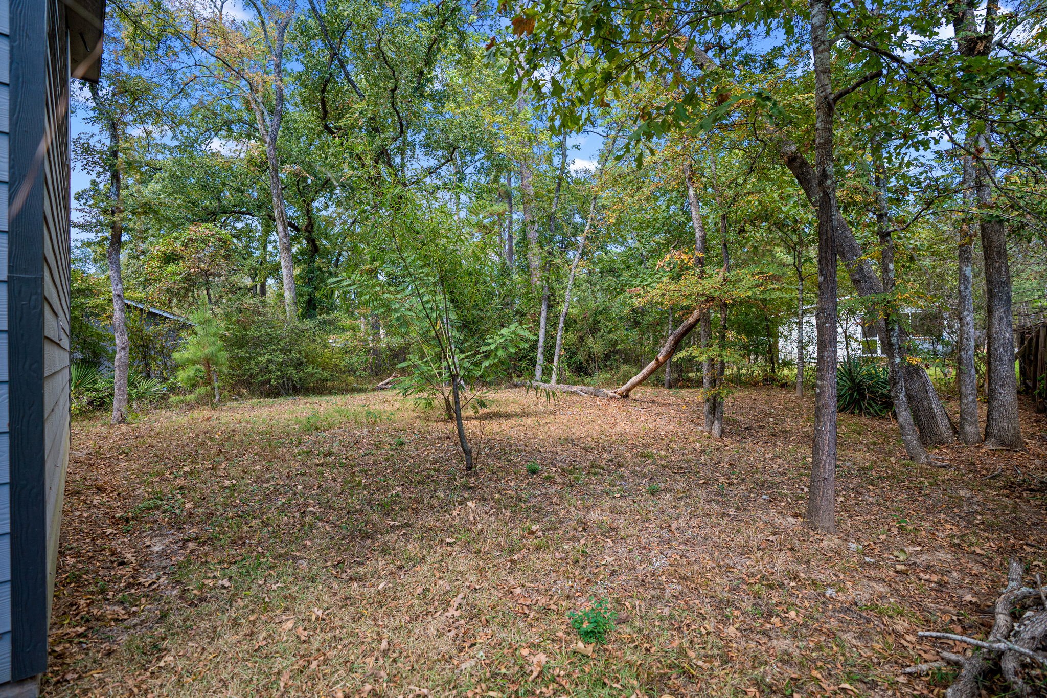 28612 Rantoul Court Point Blank, TX 77364 - Photo 14 of 14 a backyard of a house with lots of green space