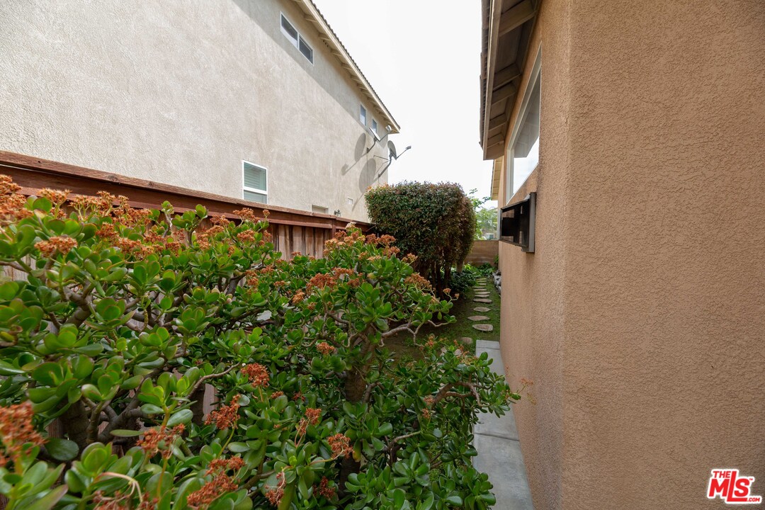 6837 Raspberry Court Eastvale, CA 92880 - Photo 40 of 41 a close up of a plant in front of a house