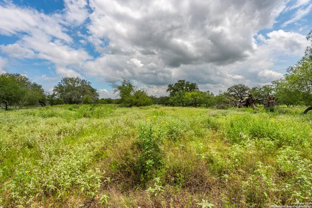a view of a garden with an outdoor space