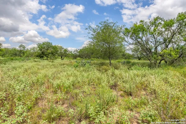 a view of a green field with lots of bushes