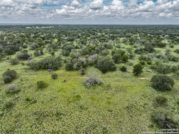 a view of a field with an trees