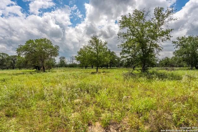 a view of swimming pool with yard and green space