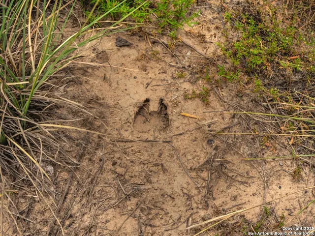 $189,000 | 330 South Encino Crossing, Natalia, TX 78059